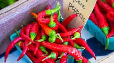 Cayenne Pepper Fruit