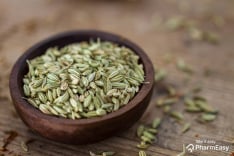 Fennel Seeds